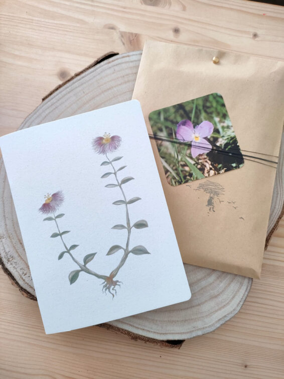 taccuino con illustrazione botanica