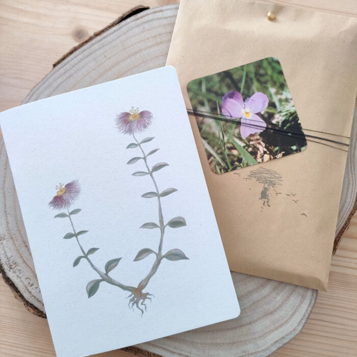 taccuino con illustrazione botanica