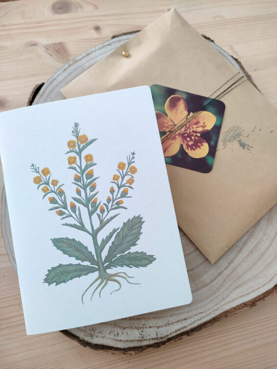 taccuino con illustrazione botanica