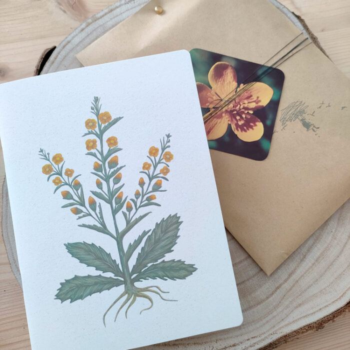 taccuino con illustrazione botanica