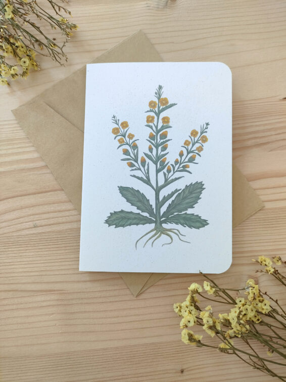 biglietto di auguri con illustrazione botanica