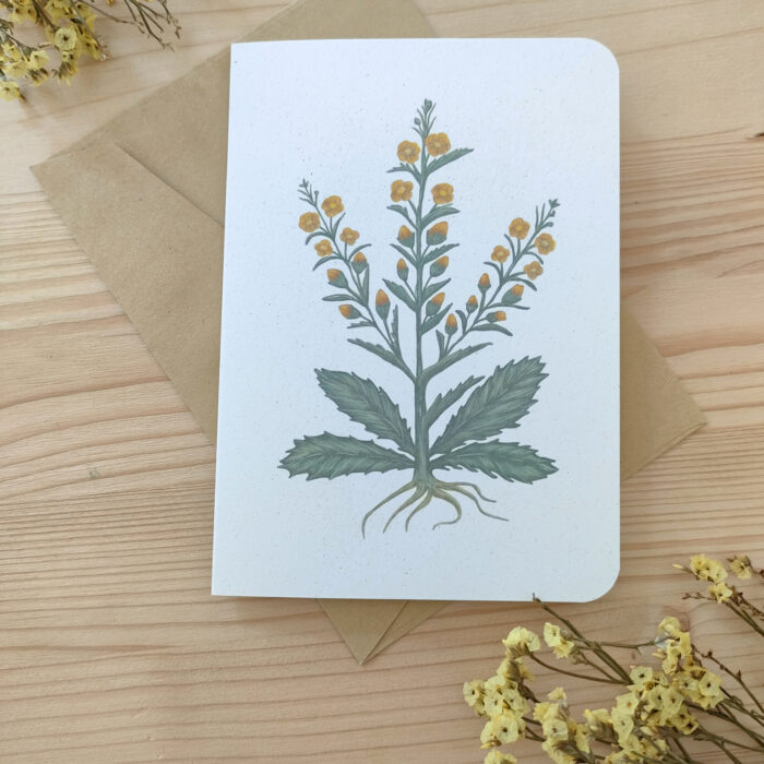 biglietto di auguri con illustrazione botanica