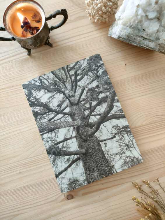 taccuino quaderno albero