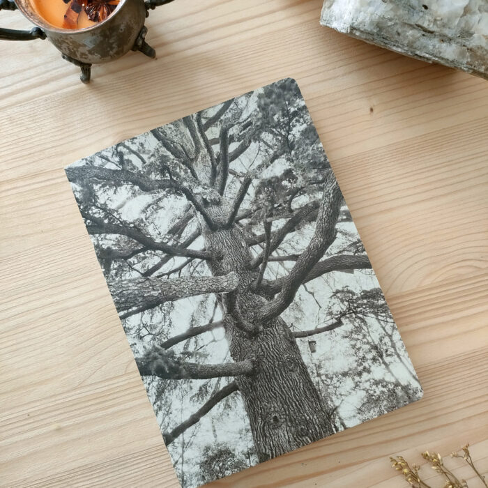 taccuino quaderno albero