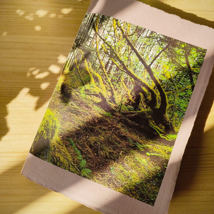 quaderno creativo fatto a mano