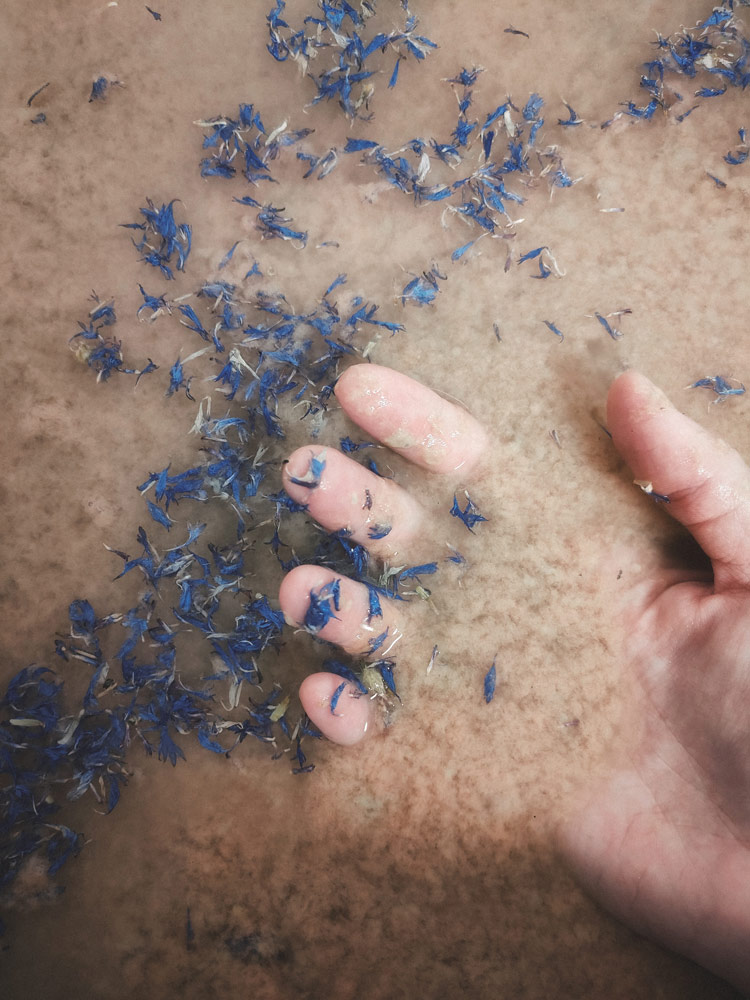 Fibre e fiori blu nell’impasto della carta fatta a mano